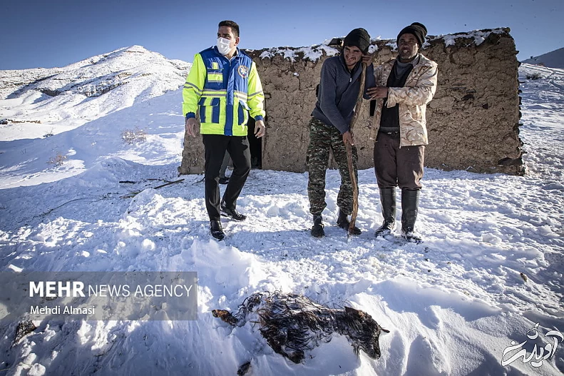 (تصاویر) عملیات نجات چوپانان از دل کوه&zwnj;های برفی زنجان